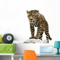 thumbnail image 1 of Leopard Rock Wall Decal Sticker by Wallmonkeys Vinyl Peel and Stick Graphic (36 in W x 30 in H), 1 of 4