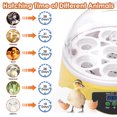 thumbnail image 4 of Yescom 7 Egg Incubator Automatic Egg Turner Chicken Duck Bird Poultry Hatcher Yellow CE Certificated Yescom Modern, 4 of 9