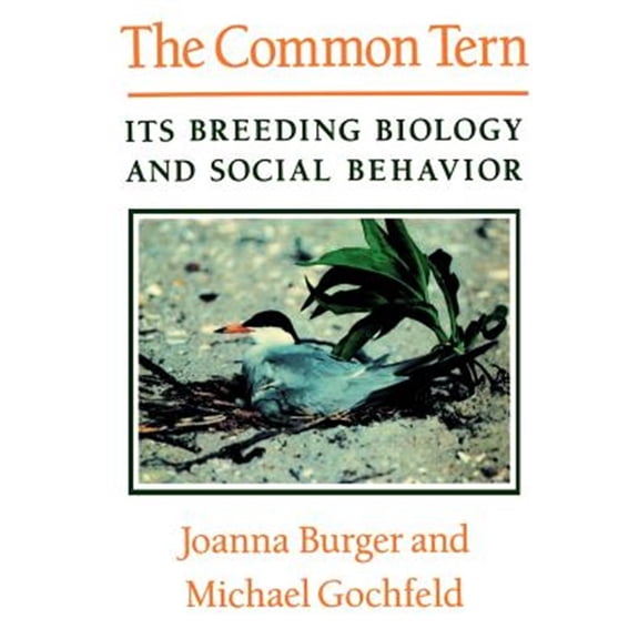 Pre-Owned Common Tern : Its Breeding Biology and Social Behavior