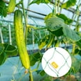 EEEkit Garden Plant Trellis Netting, 12' x 6' HeavyDuty Nylon Flexible