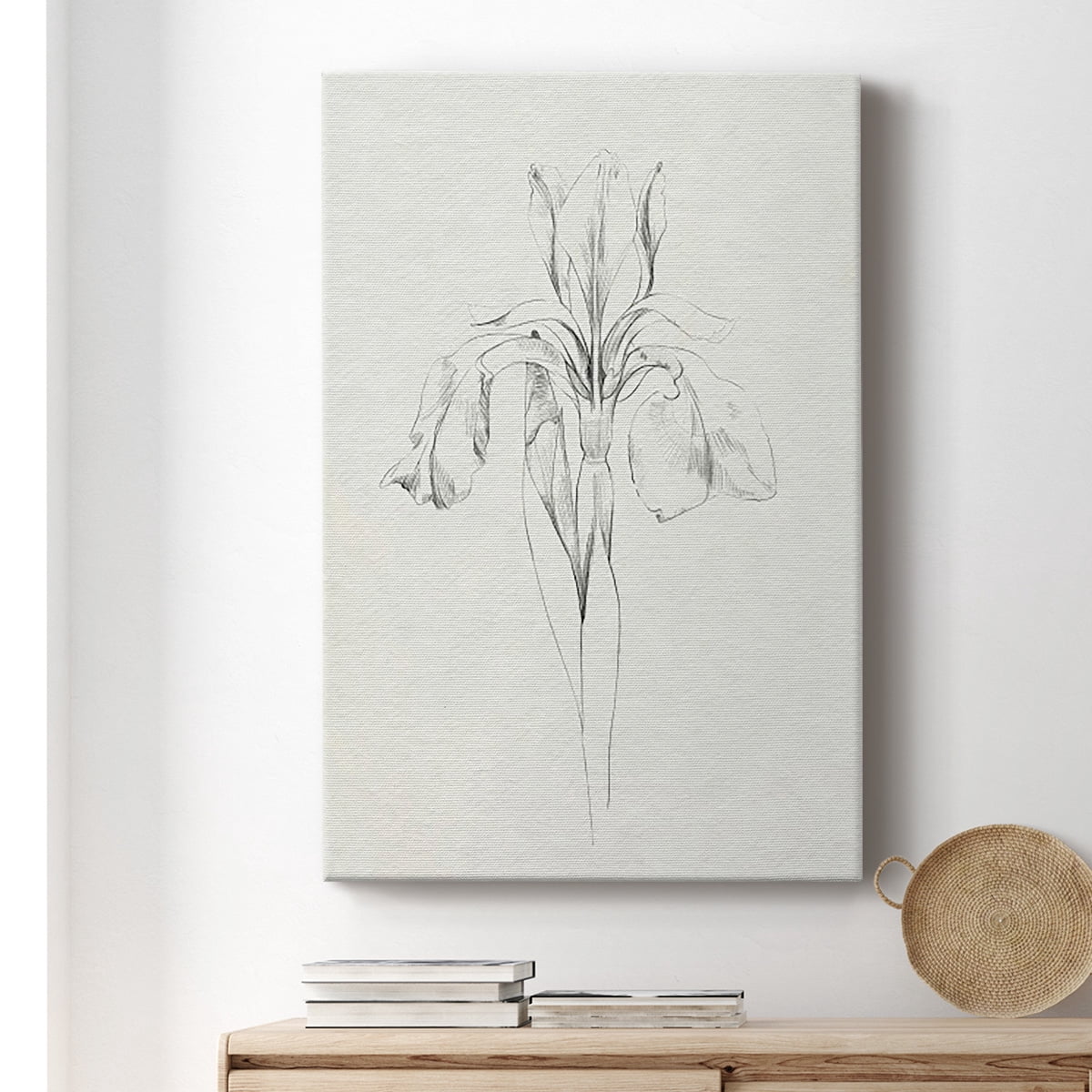 Neutral Iris Sketch I Premium Gallery Wrapped Canvas - Ready to Hang