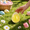 Yellow, variant on Easter Moldable Squishie Eggs Squishies, Silent Squeeze Anxiety Relief Balls, Cute Memory Gel Sensory Squishies for Easter Basket Stuffers