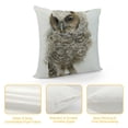 thumbnail image 4 of Orinice Owl Graphic Decorative Throw Pillow Cover for Home Couch Living Room Sofa Bedroom - Aesthetic Design, Multipurpose Use, 1PC 20x20in, 4 of 5