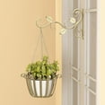 thumbnail image 1 of Macetas montadas en la pared Gancho para estante Soporte para plantas decorativas Colgador (Oro) Sywqhk Libre de BPA, 1 of 8