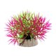 thumbnail image 5 of Methold 10 piezas de frescura en pecera ecológica y de bajo mantenimiento decoración de acuario pecera decoración Artificial CX11Winde rojo CX11Rojo Viento 2piezas, 5 of 6