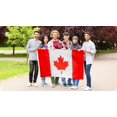 thumbnail image 4 of Bandera DANF Canadá 91x153 cm Poliéster Doble Cara, 4 of 6