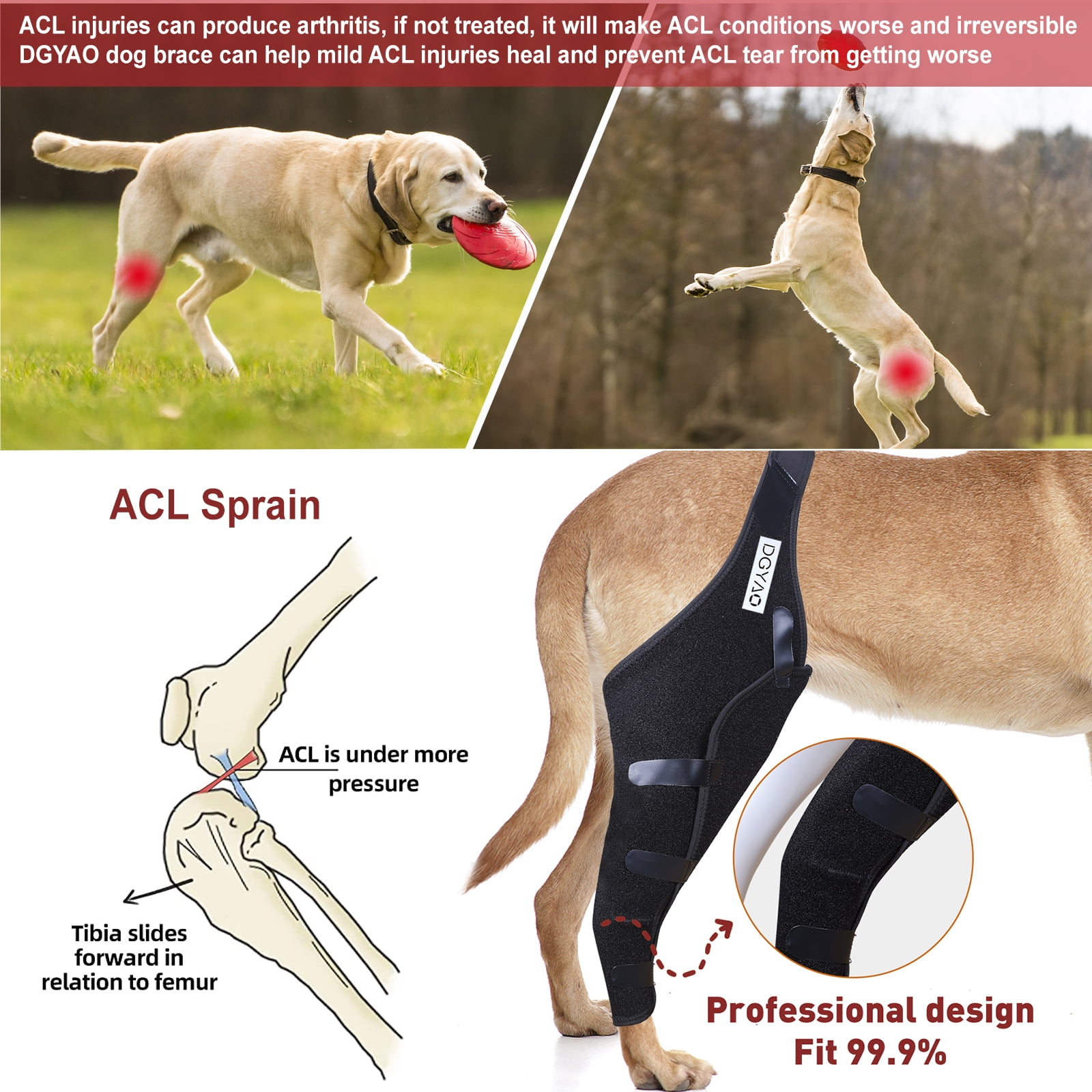 TUOY Dog Knee Brace for ACL, Knee Cap Dislocation, Arthritis - Full Wrap - Easy Adjustable - Extra Support - Reduces Pain and Inflammation – Full Sizes