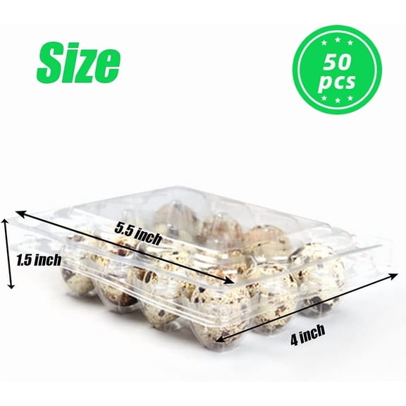 50 Count 12-Grid Quail Egg Cartons for Small Eggs