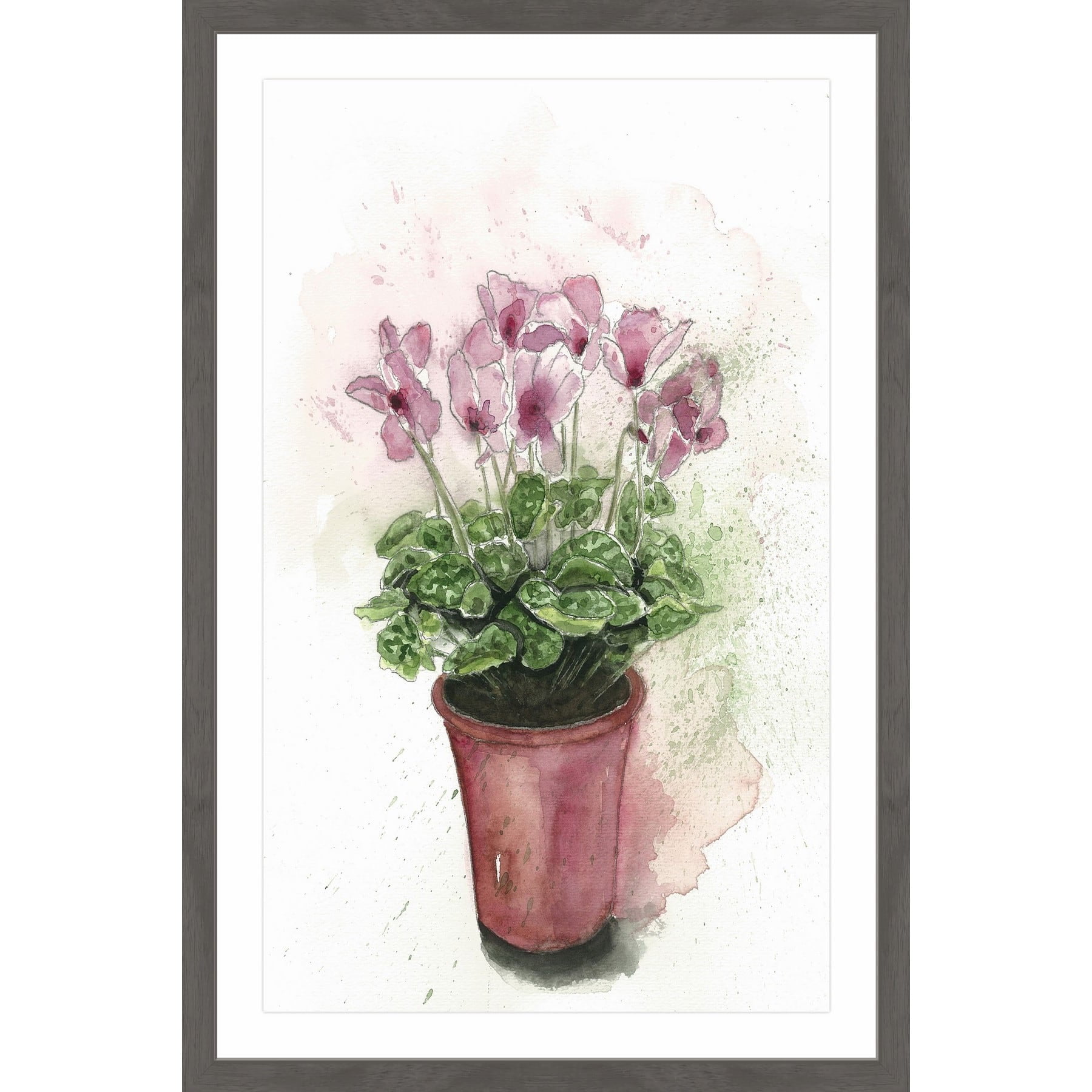 MARMONT HILL 'Cyclamen in Bloom' Framed Painting Print 20 x 30