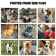 thumbnail image 4 of Juego de arneses y correas para perros BEAUTYZOO Step In, sin tirones, para perros, 4 of 6