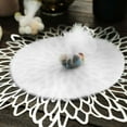 thumbnail image 6 of Efavormart 25pcs/ pk 9" Tulle Circles For Party Decorations Banquet Event Sewing DIY Crafts Fabrics Sewing - White, 6 of 11