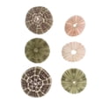 thumbnail image 3 of 6 piezas de decoración de erizos de mar para macetas de plantas aéreas, decoración de mesa con erizos de mar, decoración para peceras, 3 of 8