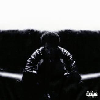 洋楽 Cleo Sol / Rose In The Dark Rose in the Dark - Album by Cleo Sol - Apple Music