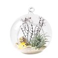 thumbnail image 3 of 2PCS Glass Planter Decorative Hanging Glass Vase Glass Flower Vase for Home, 3 of 9