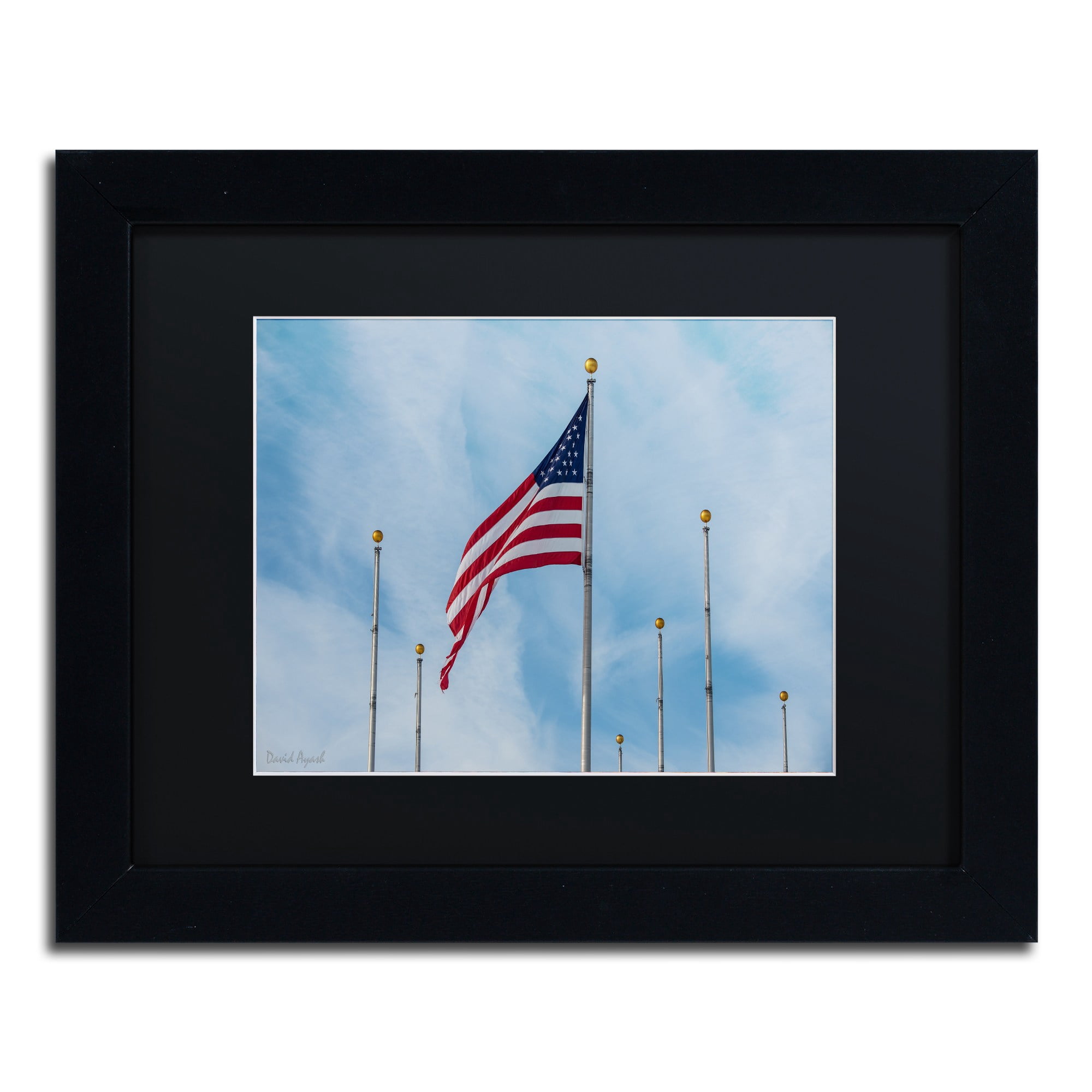 Trademark Fine Art "Red, White and Blue" Canvas Art by David Ayash Black Matte, Black Frame