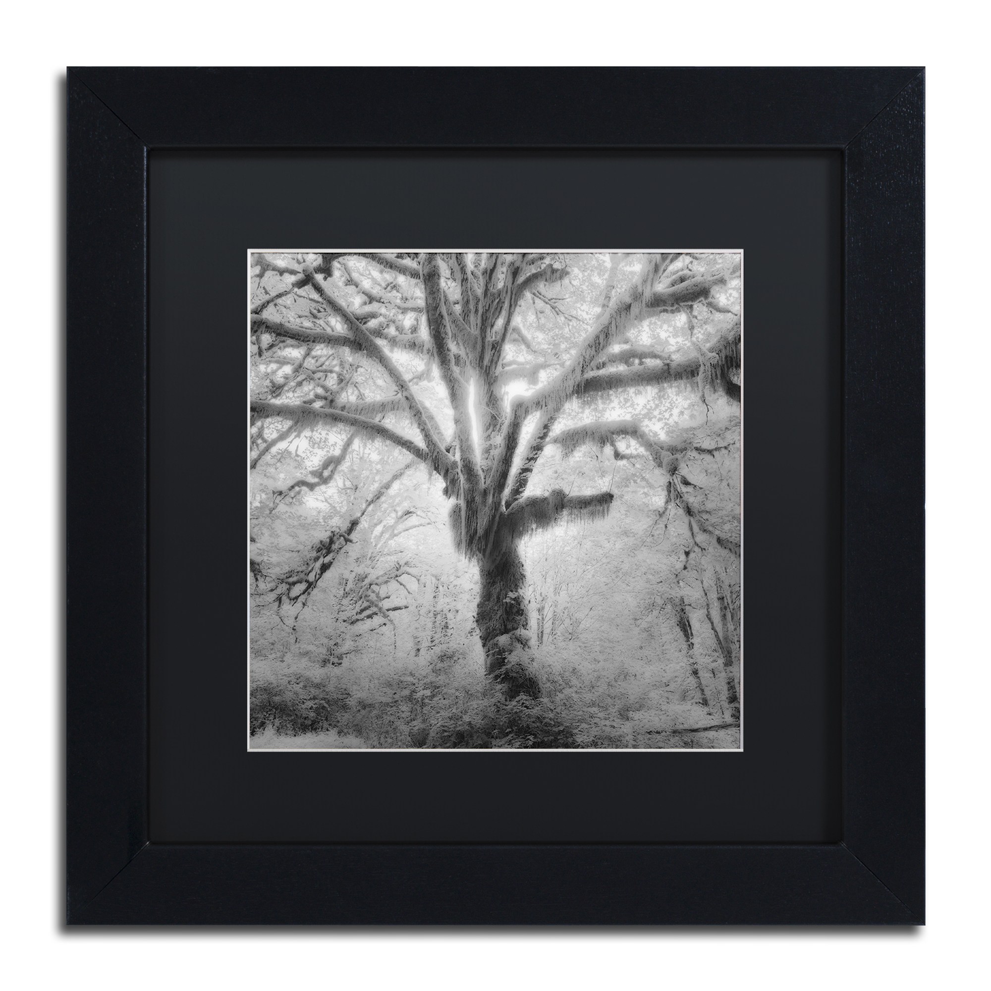 Moises Levy 'Lightning Tree II' Black Matted Framed Art
