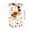 Gifts, variant on QISIWOLE Christmas 2D Snowflake Wind Chime Window Hanging Ornament, 14in Flat Sparkling Acrylic Christmas Decoration for Festive Holiday Home Tree Indoor Outdoor Decor