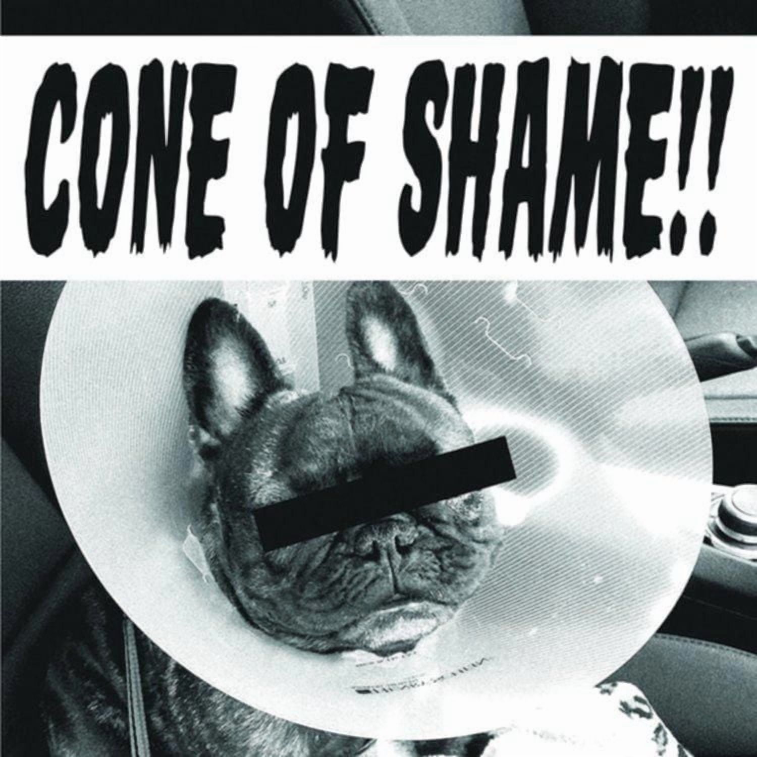 Faith No More - Cone of Shame (vinyl)