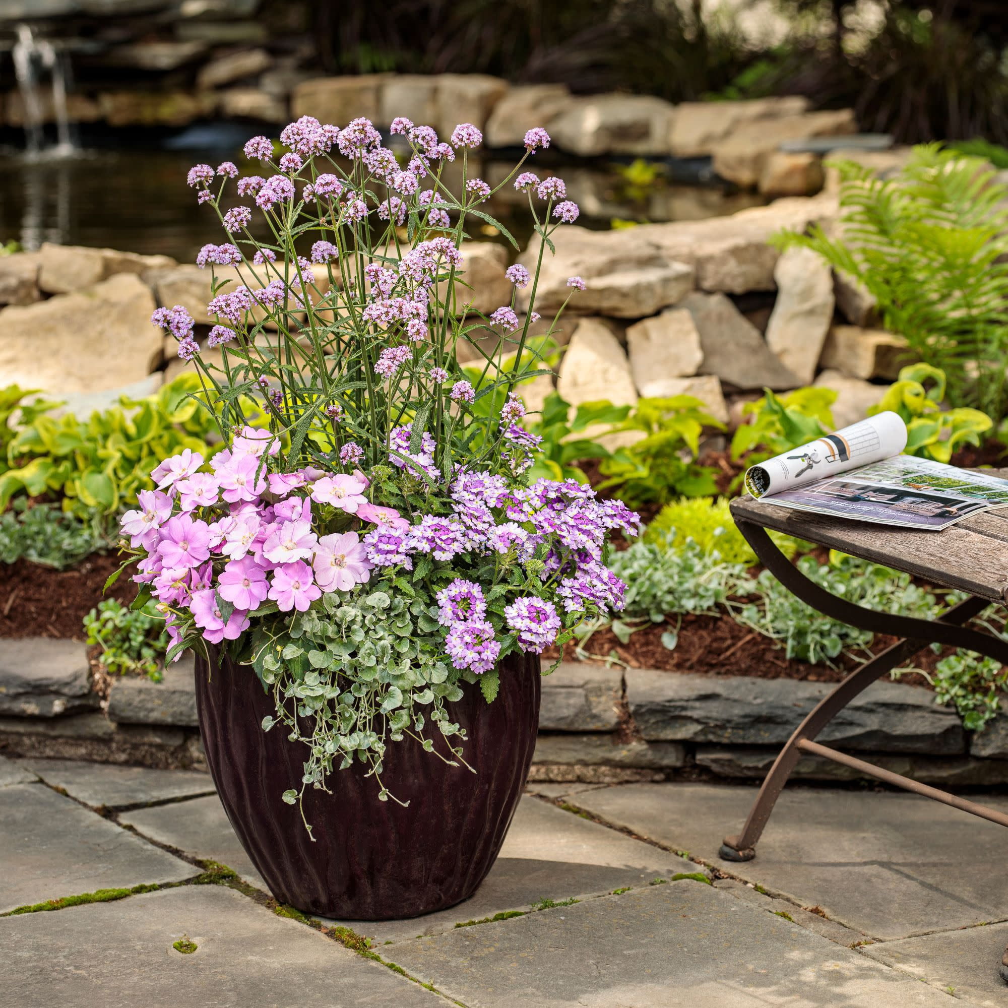 Proven Winners 4" Purple Superbena Sparkling Amethyst Verbena Live Plant in 4.25" Pot (4 Count)