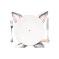 thumbnail image 2 of Ryvnso Placemats Set of 4 Rabbit Carrot Dining Mats Heat-Resistant Non-Slip Washable Table Mat, 2 of 8
