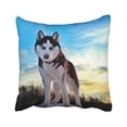 thumbnail image 1 of RYLABLUE Decorative Siberian Husky Dog Zippered Pillow Cases Size 18x18 inches Two Side, 1 of 1