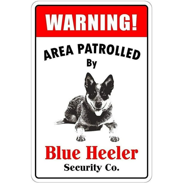 Letrero de hojalata vintage de perro Blue Heeler para patrulla de área de guardia para hombres y mujeres, decoración de pared de granja para bar, restaurante, cafetería, tamaño: 8 x 12 pulgadas
