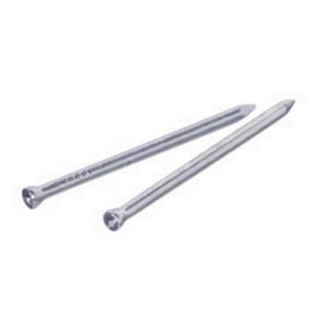 Hillman 7/8 in. L Trim Zinc-Plated Steel Nail Spiral Shank Flat (Pack of 6