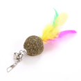 thumbnail image 4 of Cat Wand Toy Attachment Fake Feather Pet Teaser Refill Cat Stick Toy Replacement, 4 of 8