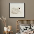 thumbnail image 4 of HFDF Canvas Prt Wall Art Elegant Swan Repose Vtage Watercolor Classic Nature Wilderness Illustrations Rustic Zen Colorful for Livg Room, Bedroom, Office -Black 20x16inch Framed, 4 of 6