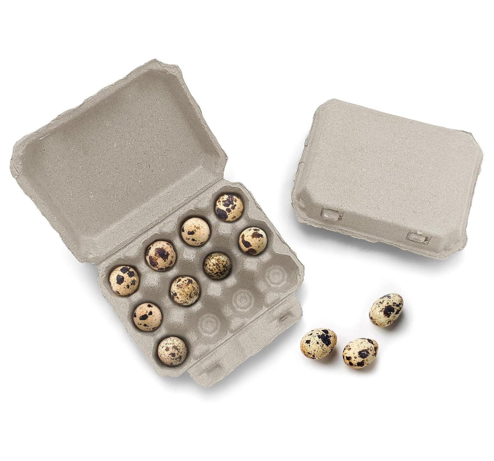 Quail Egg Cartons - Recycled Cardboard Paper Pulp 3x4 Square Style - Holds One Dozen Eggs (30)