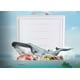 thumbnail image 5 of Congelador Horizontal Hisense  5 Pies Función Dual Manija con Cerradura Refrigerante R600a FC50D6AWX, 5 of 5