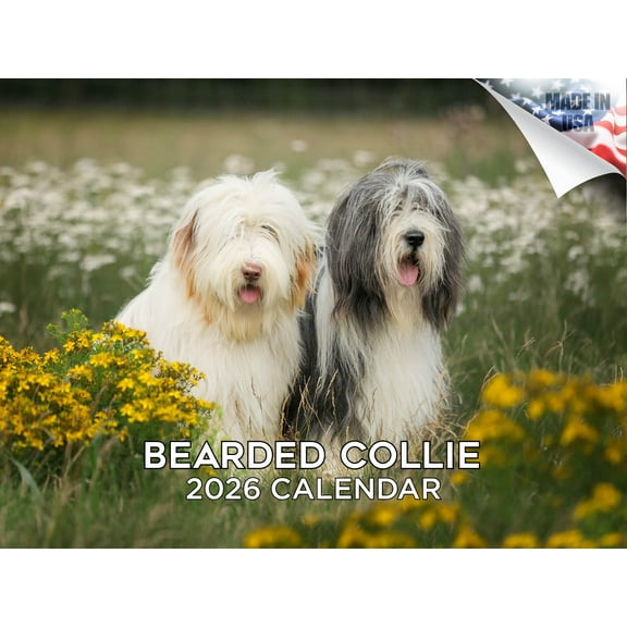 2025 2026 Bearded Collie Calendar - Dog Breed Monthly Wall Calendar - 12 x 18 Open - Thick No-Bleed Paper - Giftable - Made in USA