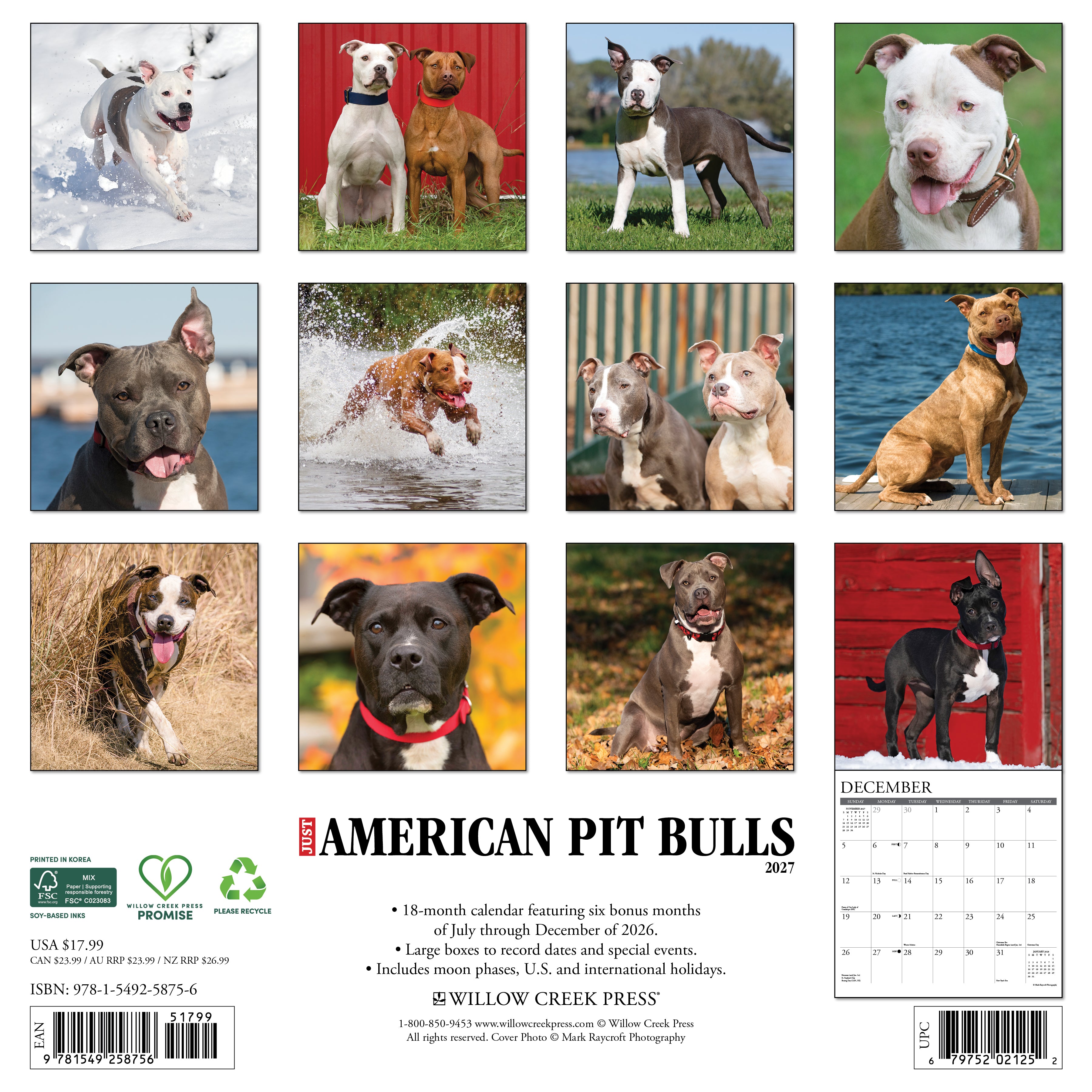Willow Creek Press, American Pit Bull Terriers 2027 Wall Calendar