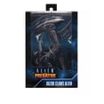 thumbnail image 2 of Alien vs Predator - 7" Scale Action Figure - Razor Claws Alien (Movie Deco), 2 of 4