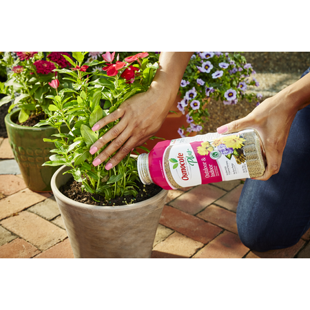Osmocote Smart-Release Plant Food Plus Outdoor & Indoor - Black