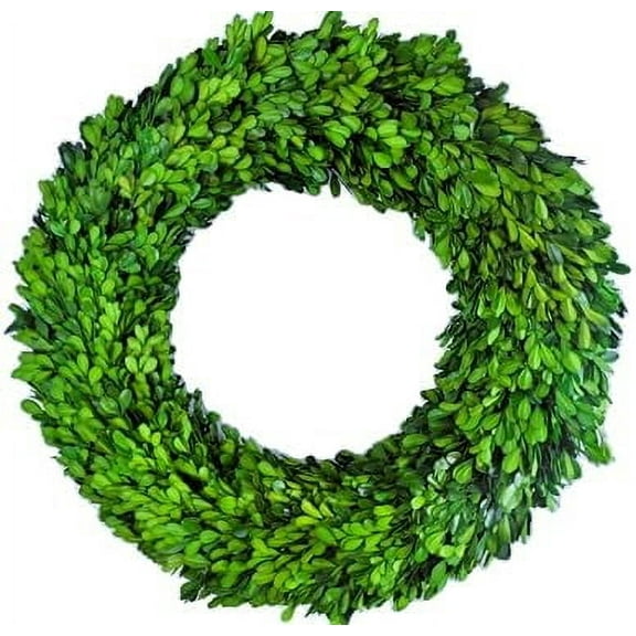 Preserved Boxwood Wreath 18 in by