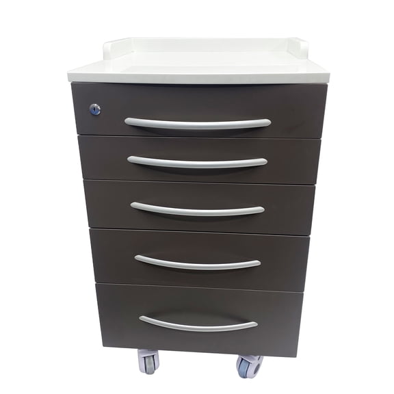 Mobile File Cabinet Medical Assistant's Mobile Cabinet with 5 Drawers Stainless Steel Utility Cart
