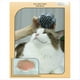 thumbnail image 4 of Cepillo de Vapor para Gatos Cepillo de Vapor para Perros EléCtrico Cepillos de Pelo para Gatos para Masajes Peine para el Cuidado de Mascotas Peines para DepilacióN, A, 4 of 5
