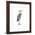 thumbnail image 1 of Sea Bird V, Animals Framed Art Print Wall Art by Grace Popp Sold by Art.Com, 1 of 5