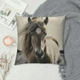 thumbnail image 2 of JEUXUS  Horse - Black &amp; White Decorative Pillow Covers Cozy Soft Throw Pillowcase Square Couch Cushion Cover for Home Decor Sofa Living Room Bed Car, 2 of 5