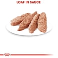 thumbnail image 2 of Alimento Húmedo Gato Adulto Weight Care 145g Royal Canin, 2 of 4