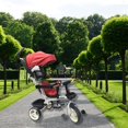 thumbnail image 4 of Carriola Triciclo De Bebe Infantil Con Manubrio Cesta Timbre Picool  Carriola Triciclo, 4 of 5