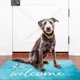 thumbnail image 3 of Alfombra de bienvenida Rug Jvpke Blue Beach, 43 x 71 cm, para interiores y exteriores, 3 of 7