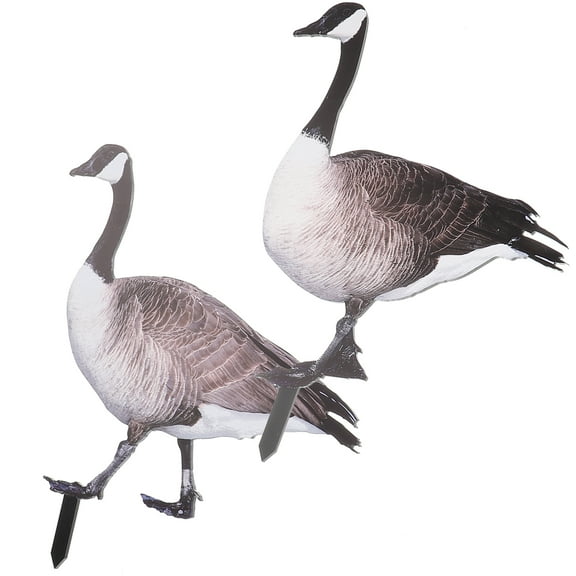 Raindrops Garden Animal Stake Decorations, Realistic Acrylic Yard and Home Outdoor Decor, Set of 2 Pieces