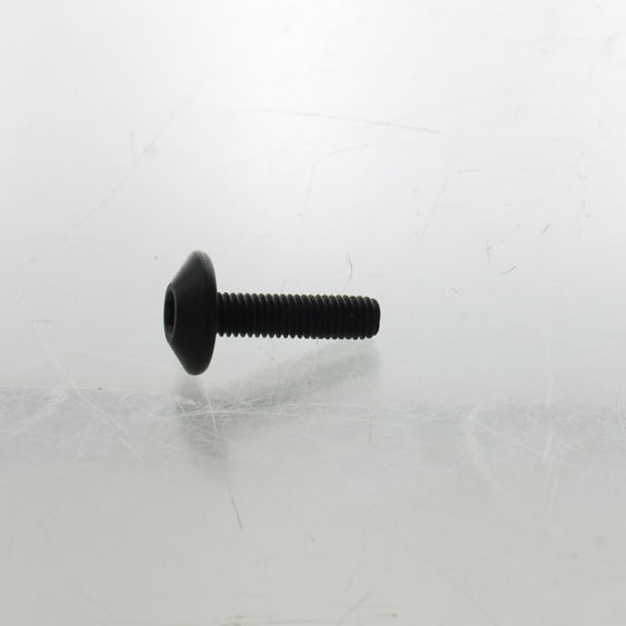 Sea-Doo New OEM Can-Am Torx Truss M/S Nylon Patch M5X, 250000586