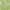 Green, variant on Rugs.Com Valencia Collection Area Rug ‚Äì 4' x 6' Orange Low Rug Perfect For Entryways, Kitchens, Breakfast Nooks, Accent Pieces