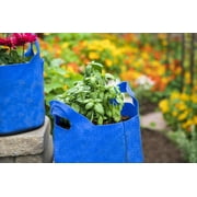 SMART POT 3 Gallon Fabric Grow Bag مع مقابض مقطوعة - أزرق