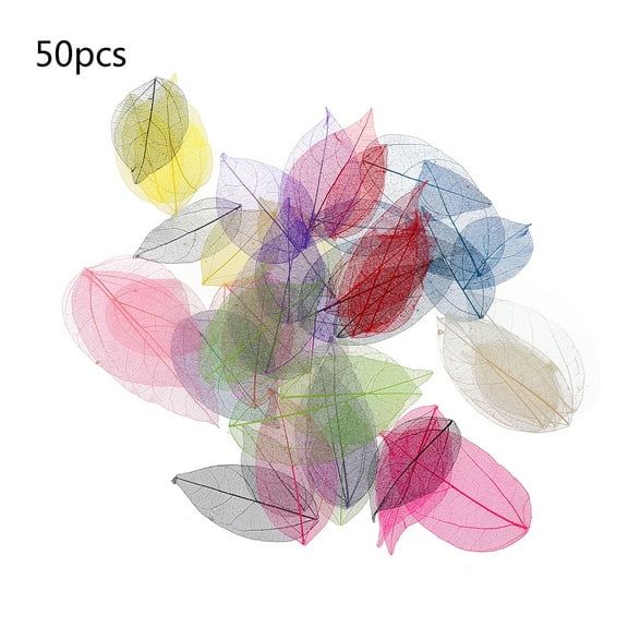 Sofullue 50 Pieces/Set Natural Skeleton Leaves for Wedding Masquerade Stage Decorations