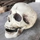 thumbnail image 4 of Creepy Plastic Open Mouth Skull Skeleton Haunted House Decor Halloween Prop Y, 4 of 5