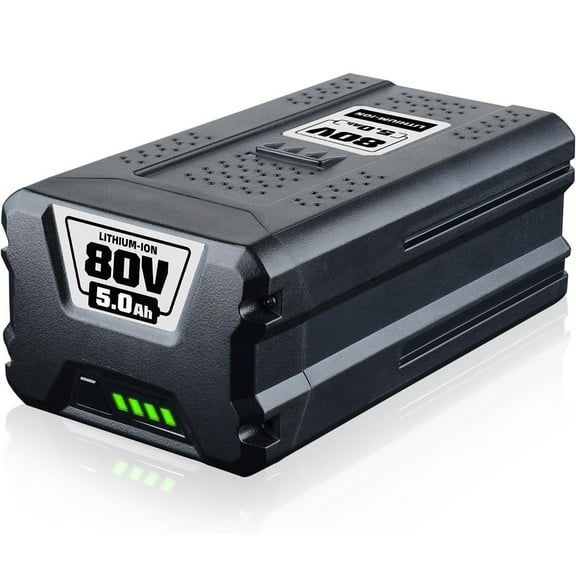 80V 5.0Ah GBA80200 Replacement for Greenworks Battery GBA80200 GBA80250 GBA80400 GBA80500 Compatible with Greenworks 80V Max Series Cordless Power Tools